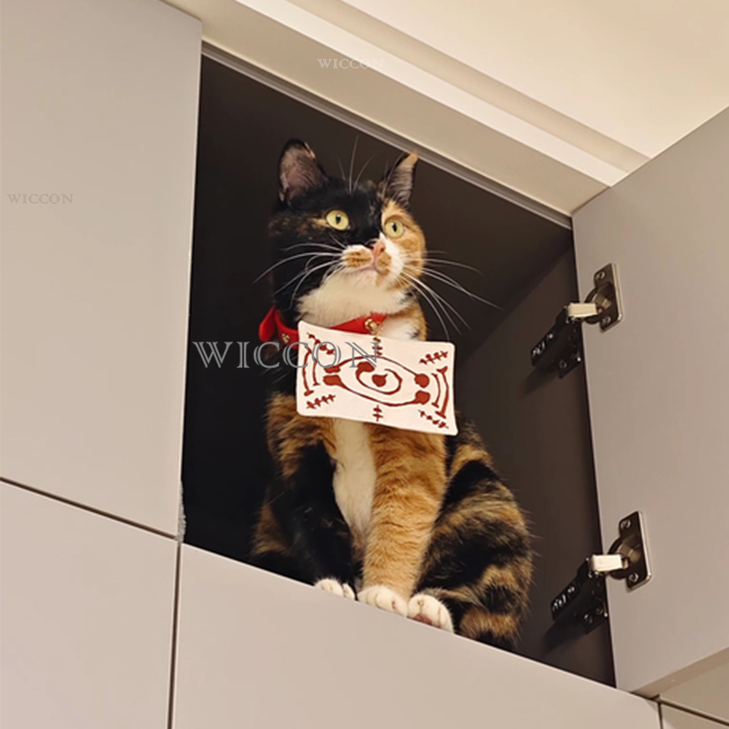 Chachamaru Cat Tamayos Accesor - Cosplay Anime Jjk reseña y precio